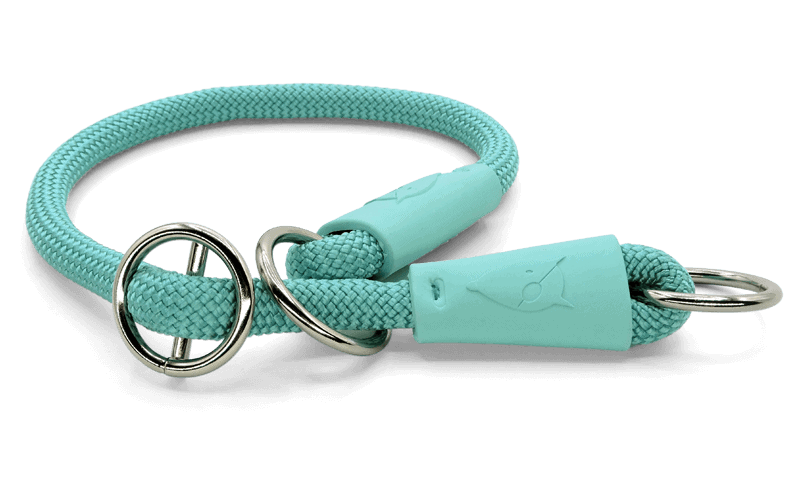 Morso - Collare Da Addestramento Regular Touch Aquamarine per Cani - Animalmania Store