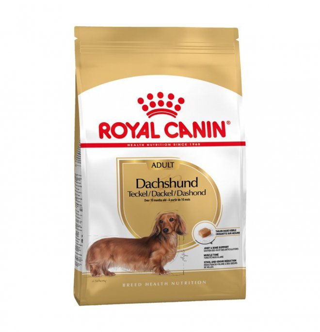 Royal Canin - Royal Canin Cane Breed Bassotto Adult - Animalmania Store