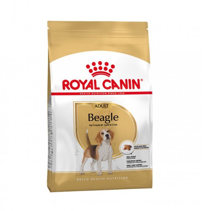 Royal Canin - Royal Canin Cane Breed Beagle Adult - Animalmania Store