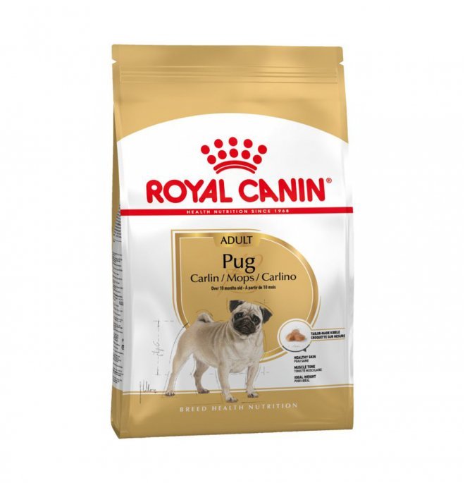 Royal Canin - Royal Canin Cane Breed Carlino Adult - Animalmania Store