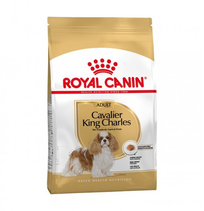 Royal Canin - Royal Canin Cane Breed Cavalier King Adult - Animalmania Store