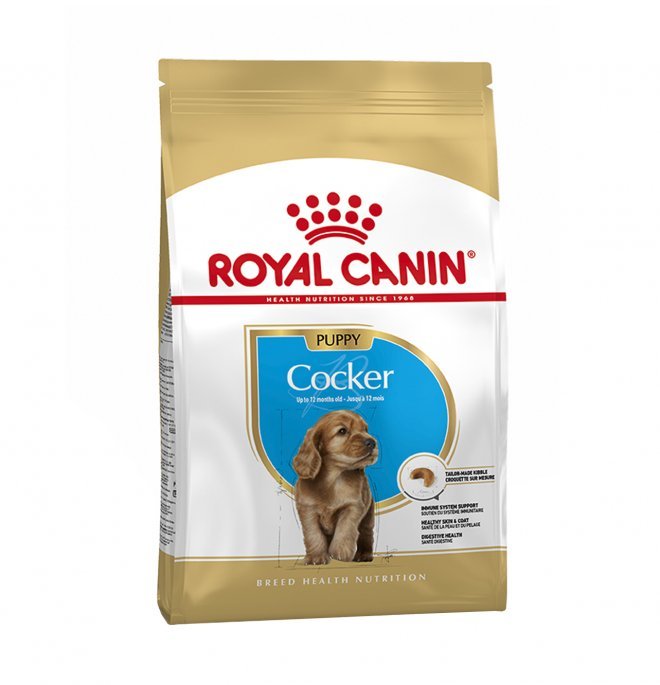 Royal Canin - Royal Canin Cane Breed Cocker Junior - Animalmania Store