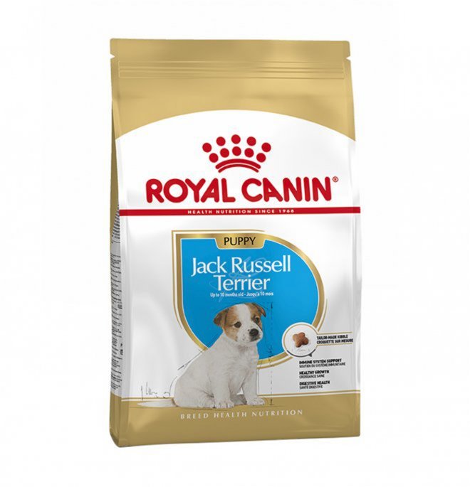 Royal Canin - Royal Canin Cane Breed Jack Russel Junior - Animalmania Store