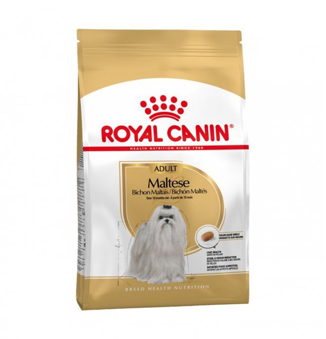 Royal Canin - Royal Canin Cane Breed Maltese Adult - Animalmania Store