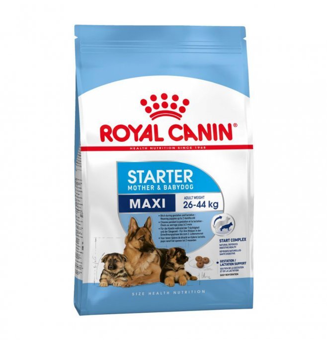 Royal Canin - Royal Canin Cane Starter Maxi Mother & Baby - Animalmania Store