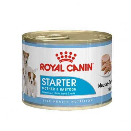 Royal Canin - Royal Canin Cane Starter Mousse In Lattina - Animalmania Store