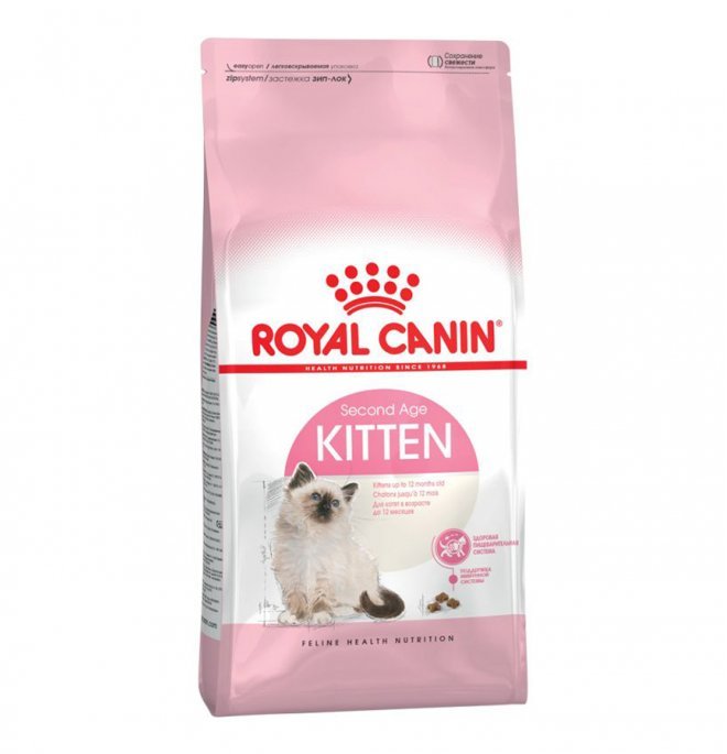 Royal Canin - Royal Canin Gatto Kitten - Animalmania Store