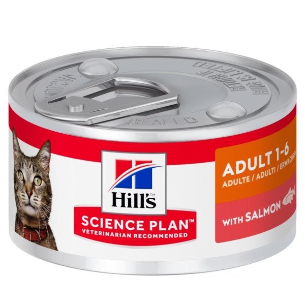 Hill's Science Plan - Hill's Science Plan feline adult salmone scatoletta 82g - Animalmania Store